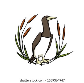 Vector illustration of hand drawn cute Brown Booby in cattail wreath. Ink drawing, beautiful animal and nautical design elements.