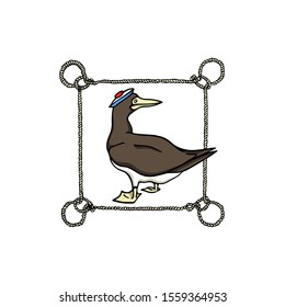 Vector illustration of hand drawn cute Brown Booby in sailor's hat in nautical rope frame. Ink drawing, beautiful animal and nautical design elements.