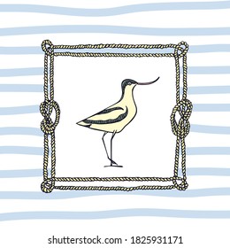 Ilustración vectorial del colibrí dibujado a mano en un marco de cuerda náutica. Bellos elementos de diseño animal, dibujo de tinta, plantilla de logotipo