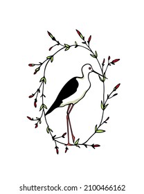 Vector illustration of hand drawn cute Avocet in vintage floral frame. Beautiful animal design elements, ink drawing, logo template
