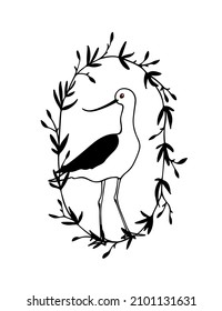 Vector illustration of hand drawn cute Andean Avocet in vintage floral frame. Beautiful animal design elements, ink drawing, logo template