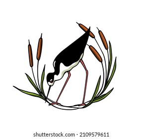Ilustración vectorial de la linda Stilt de cuello negro dibujada a mano en la corona de la cola. Bellos elementos de diseño animal, dibujo de tinta, plantilla de logotipo