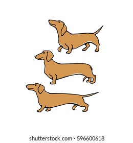 Vector illustration of hand drawn cute dachshunds. Beautiful ink drawing.