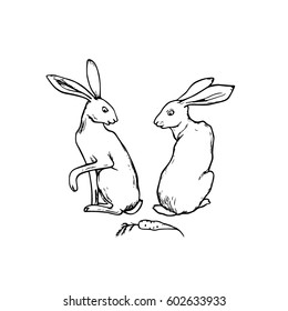 Vector illustration of hand drawn cute hares looking to one carrot situated between them. Beautiful ink drawing made in retro style. Perfect design elements for Easter celebration.