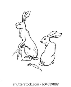 Vector illustration of hand drawn cute hares with carrots. Beautiful ink drawing made in retro style. Perfect design elements for Easter celebration.