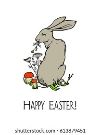 Vector illustration of hand drawn cute hare relaxing on the forest meadow, surrounded by mushrooms and grass. Beautiful ink drawing made in retro style. Perfect design elements for Easter celebration.