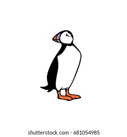Vector illustration of  hand drawn cute atlantic puffin on white background. Funny puffin character, beautiful design elements.