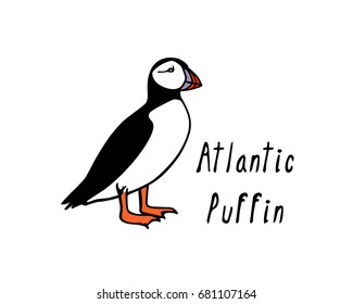 Vector illustration of  hand drawn cute atlantic puffin on white background. Funny puffin character, beautiful design elements.