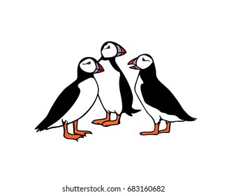 Vector illustration of  hand drawn cute atlantic puffins on white background. Funny puffin character, beautiful design elements. svg