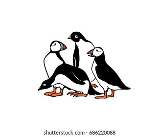 Vector illustration of  hand drawn cute atlantic puffins and penguins on white background. Funny puffin character, beautiful design elements.