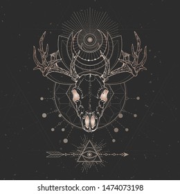 Vector Illustration Hand Drawn Deer Skull Stock Vector (Royalty Free ...