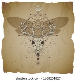 Vector illustration with hand drawn deer skull, dead head moth and Sacred geometric symbol on vintage paper background with torn edges. Abstract mystic sign. Image in sepia color. 