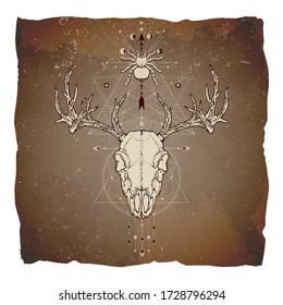 Vector illustration with hand drawn deer skull, spider and Geometric symbol on vintage paper background with torn edges. Image in sepia color. 