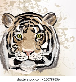 Vector illustration with hand drawn detailed tiger portrait