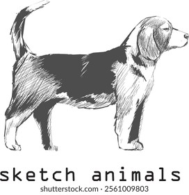 vector, illustration hand drawn dog art sketch isolated on white background, For children's coloring book or science illustration.