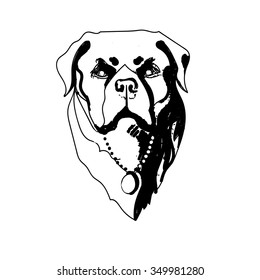 Vector illustration hand drawn dog rottweiler in black and white on a white background