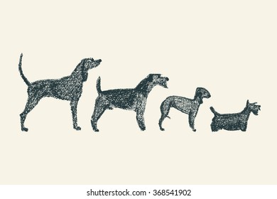 Vector illustration of hand drawn dog breeds variety. Cute dogs characters drawn with chalk. 