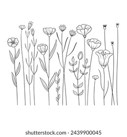 Vector illustration of hand drawn, doodle vector flowers. Line flowers set, isolated on white background.