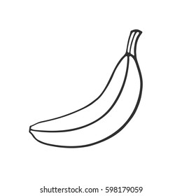 Vector illustration. Hand drawn doodle of not peeled banana. Healthy vegetarian food. Cartoon sketch. Decoration for greeting cards, posters, emblems, wallpapers