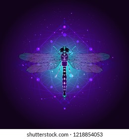 Vector illustration with hand drawn dragonfly and Sacred geometric symbol against the starry sky. Abstract mystic sign. Linear shape. For you design: tattoo, print, posters, t-shirts, textiles.