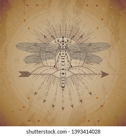 Vector illustration with hand drawn Dragonfly and Sacred geometric symbol on vintage paper background. Abstract mystic sign. Sepia linear shape. For you design and magic craft.