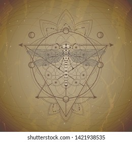 Vector illustration with hand drawn Dragonfly and Sacred geometric symbol on vintage paper background. Abstract mystic sign. Sepia linear shape. For you design and magic craft.