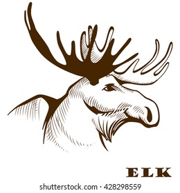 Vector illustration hand drawn elk moose head.