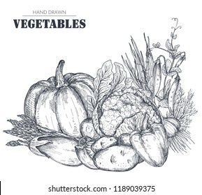 Vector illustration of hand drawn vector farm vegetables in sketch style. Beautiful organic bouquet composition. Broccoli, onion, cabbage, pepper, pumpkin, eggplant. Graphic vegetarian objects.