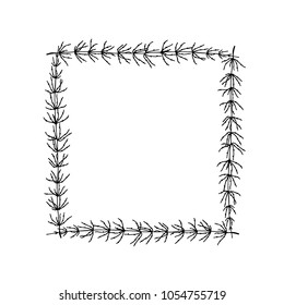 Vector illustration of hand drawn field horsetail frame. Beautiful floral design elements,  ink drawing.