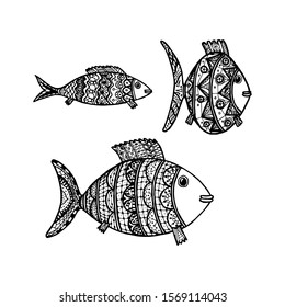 Vector illustration of hand drawn fish with ethnic doodle pattern. Coloring page book - zendala, for relaxation and meditation for adults. Concept for restaurant menu card, branding, logo label.
