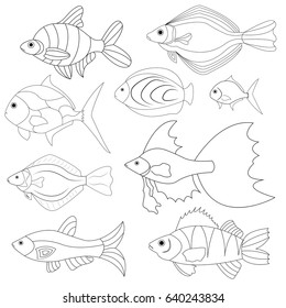 Vector illustration of hand drawn fish