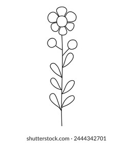 Vector illustration of hand drawn flower. Cute doodle nature element.