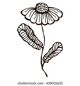 Vector illustration of hand drawn flower with leaves isolated on the white background. Inc drawing 
