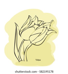 Vector illustration of hand drawn flower.