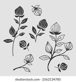 Vector Illustration Hand Drawn Flowers Collection.Perfect for floral, botanical, and nature-inspired design projects.