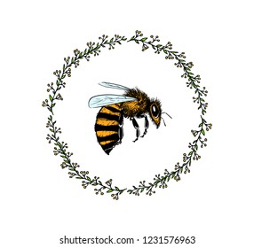 Vector illustration of hand drawn flying bee in floral wreath. Beautiful ink drawing, vector emblem