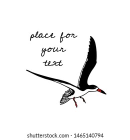 Vector illustration of hand drawn flying black skimmer. Beautiful animal design elements, ink drawing.