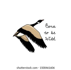 Vector illustration of hand drawn flying wild goose. Beautiful animal design elements, ink drawing.