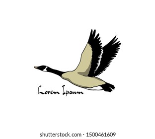 Vector illustration of hand drawn flying wild goose. Beautiful animal design elements, ink drawing.