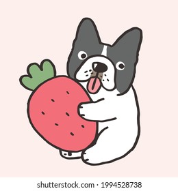 Vector Illustration of Hand Drawn French Bulldog Character on Isolated Background