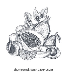 Vektorgrafik von handgezeichneten, vektorfrischen Früchten im Skizzenstil. Schöne organische Zusammensetzung. Grafische vegetarische Objekte