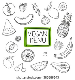 Vector Illustration of Hand Drawn Fruits