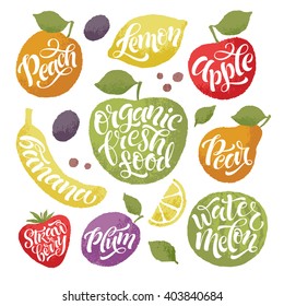 Vector illustration of hand drawn fruits and vegetables. Lettering  elements, calligraphic names of products. Eating set for farm, market, cafe design, menu and recipes. Healthy organic fresh food