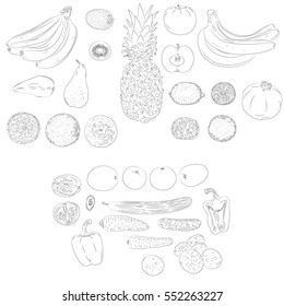 Vector illustration of hand drawn fruits and vegetables set