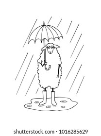 Vector illustration of hand drawn funny sheep standing in the rain in rubber boots. Beautiful animal design elements, ink drawing, funny illustration