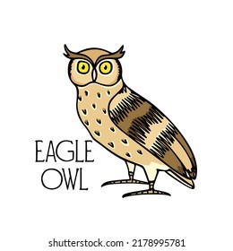 Vector illustration of hand drawn funny Eagle Owl. Ink drawing, decorative graphic style. Beautiful animal design elements, logo template 