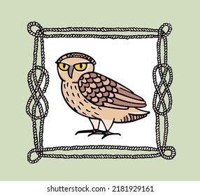 Vector illustration of hand drawn funny skeptical owl in square nautical rope frame. Ink drawing, decorative graphic style. Beautiful animal design elements, logo template 