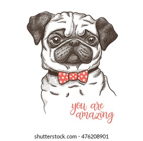 Vector illustration of a hand drawn funny fashionable pug