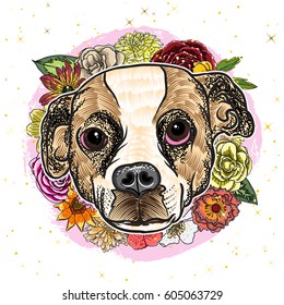 Vector illustration of a hand drawn funny fashionable Beagle girl illustration print. Cute fashionable dog face on gold glitter, sparkles for t-shirt print, greeting card, invitation for pets party.