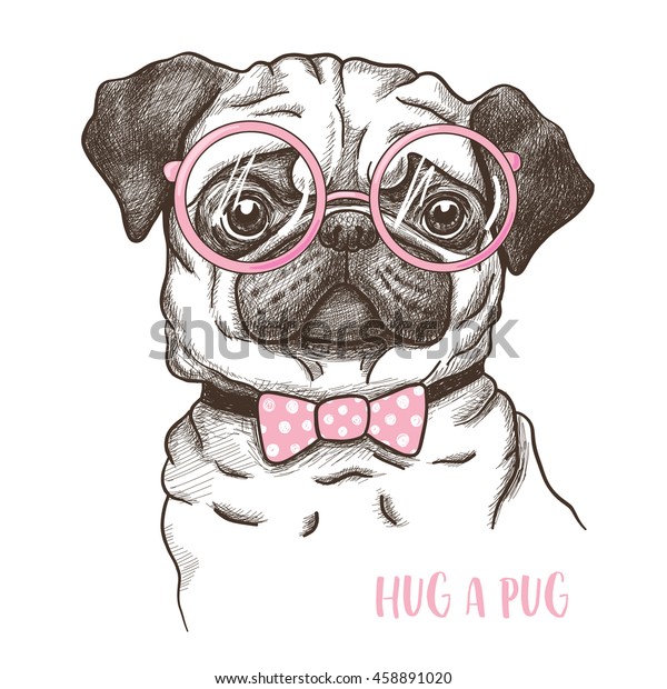 Pug Dog の画像 写真素材 ベクター画像 Shutterstock